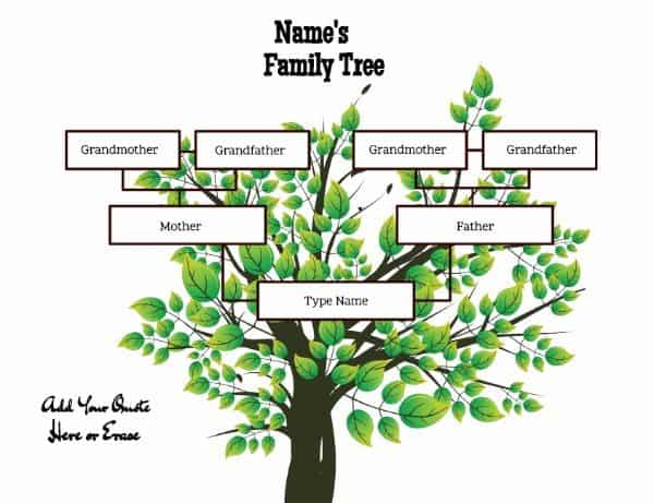 Family tree maker templates