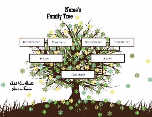 Family Tree Maker 2017