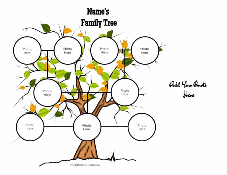 family tree builder for kids