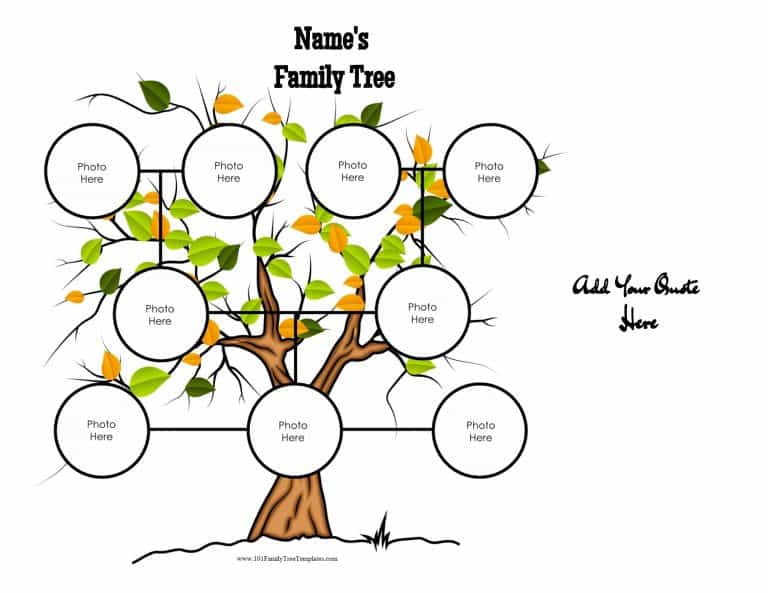 what is family tree for class 3