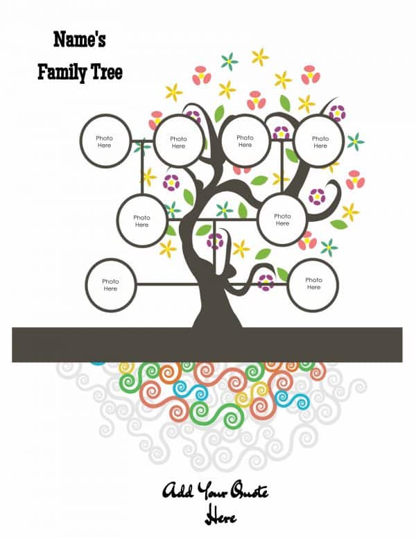 family tree with colored roots