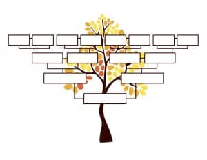 blank family tree chart