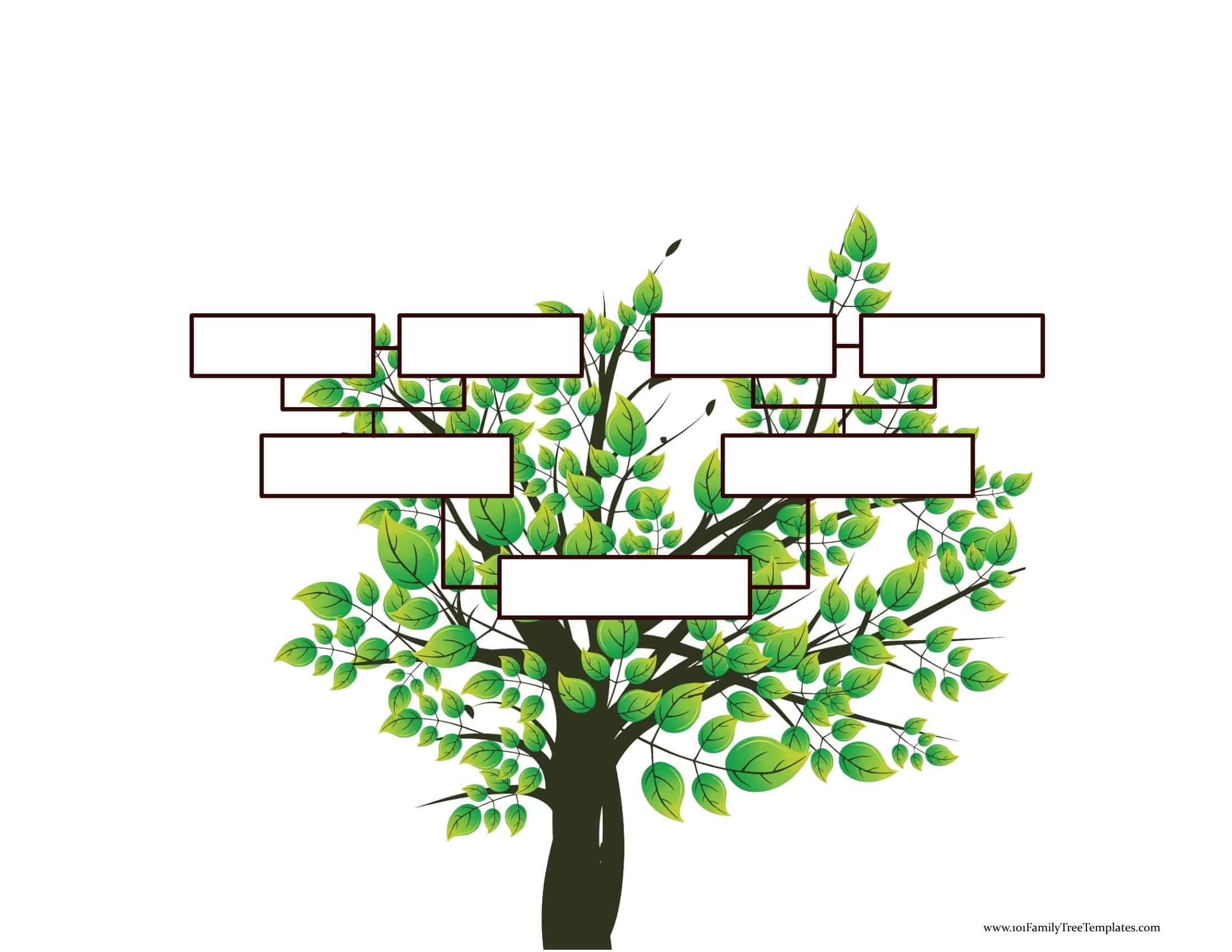 Blank Family  Tree  Template  Free Instant Download