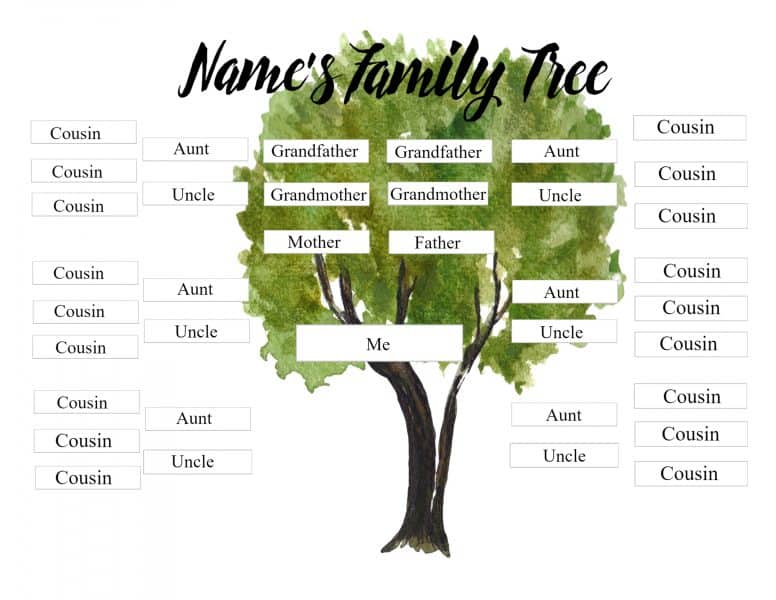 Cousin family tree