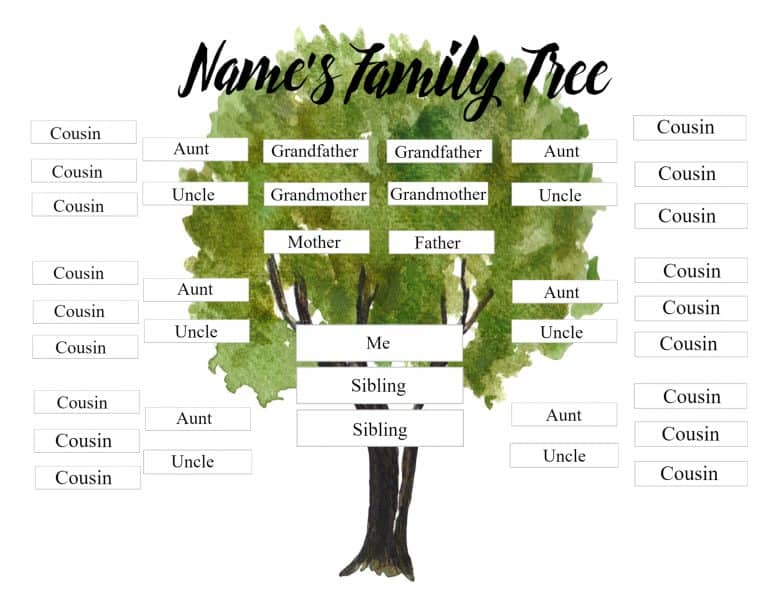 Free Family Tree Template With Siblings Aunts Uncles Cousins